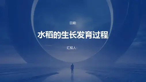 水稻的生长发育过程
