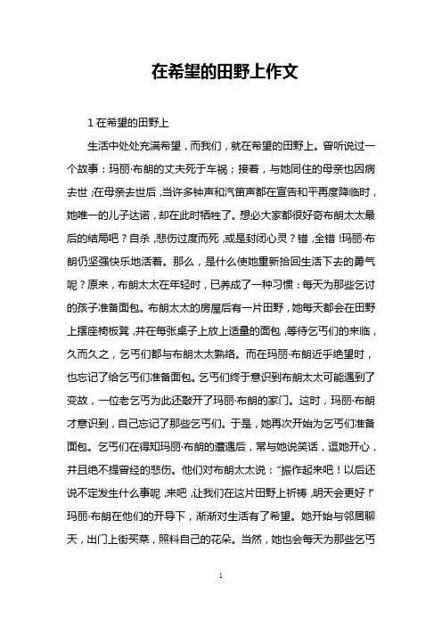 在希望的田野上作文