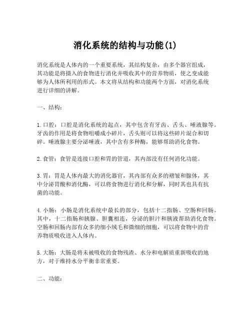 消化系统的结构与功能(1)