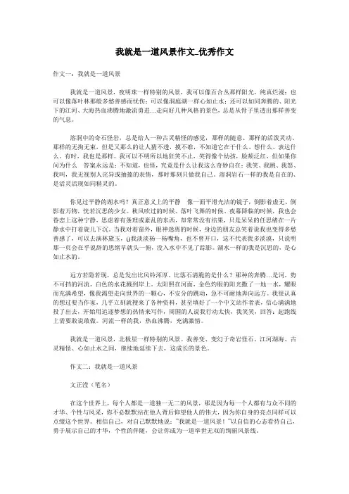 我就是一道风景作文_优秀作文