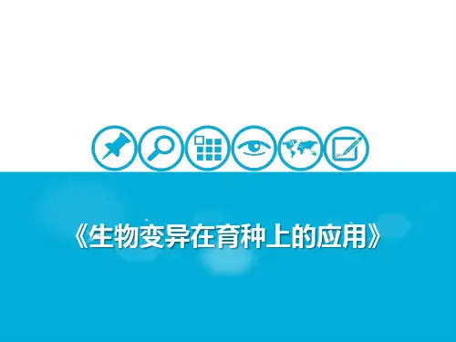 生物变异在育种上的应用 课件 2021届高考一轮复习生物