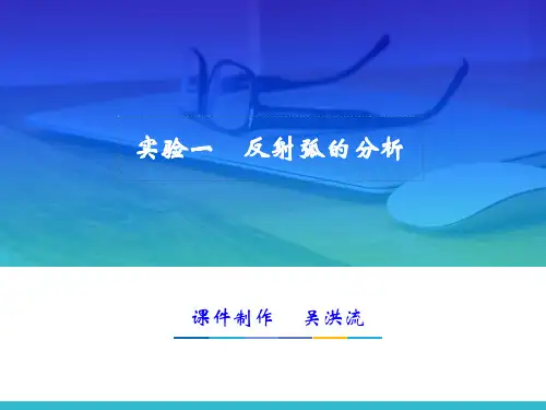 动物生理学实验课件(一) 反射弧的分析