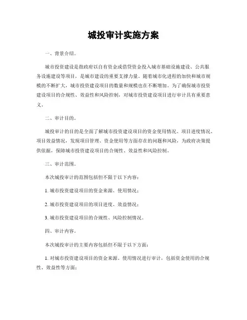 城投审计实施方案