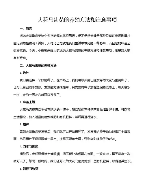 大花马齿苋的养殖方法和注意事项