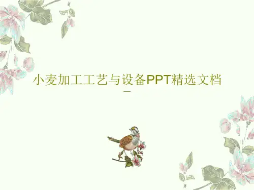 小麦加工工艺与设备PPT精选文档69页PPT