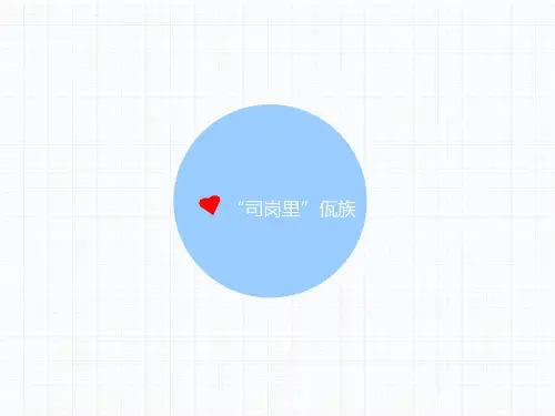 佤族简介