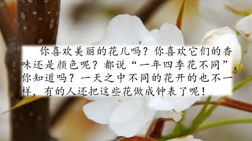 2020新版统编版三年级语文下册13 花钟 公开课PPT教学课件(50张ppt)