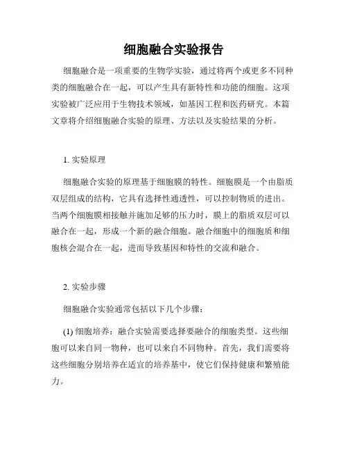 细胞融合实验报告