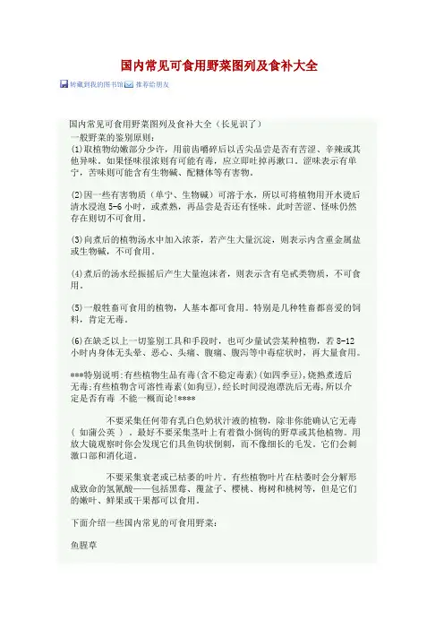 野菜大全 (修复的)