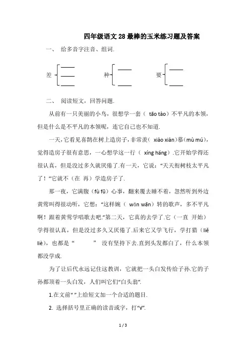 最新四年级语文28最棒的玉米练习题及答案