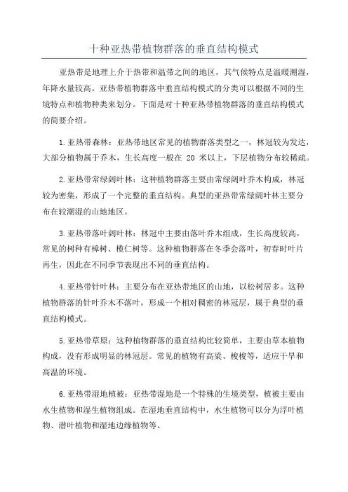 十种亚热带植物群落的垂直结构模式