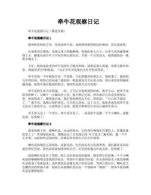牵牛花观察日记