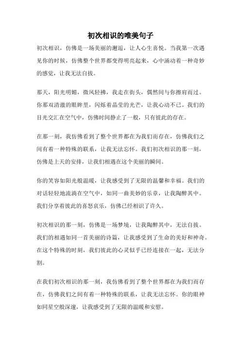 初次相识的唯美句子