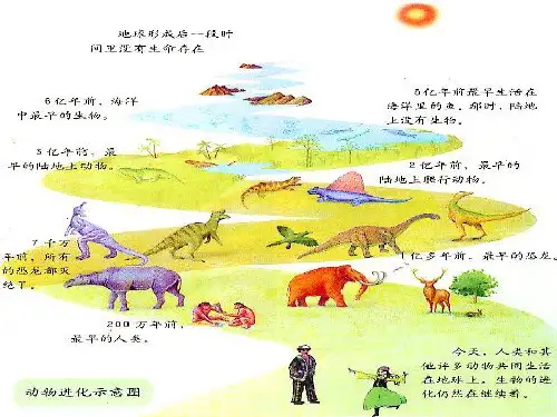 (新课标)高中生物 7.1现代生物进化理论的由来课件7 新人教版必修2