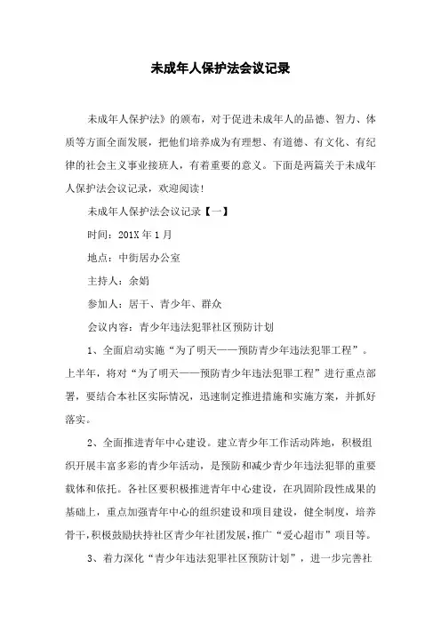 未成年人保护法会议记录