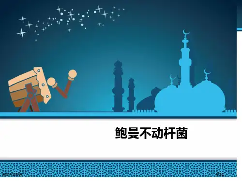鲍曼不动杆菌