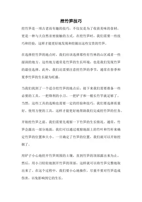 挖竹笋技巧