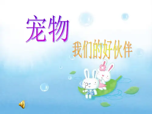 宠物的介绍标准版文档