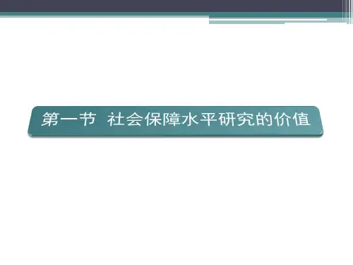 第三章社会保障水平理论ppt课件
