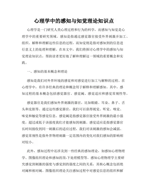 心理学中的感知与知觉理论知识点