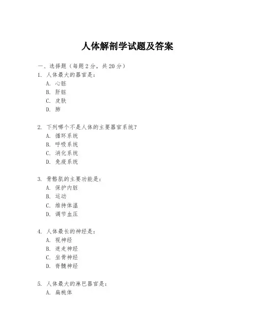 人体解剖学试题及答案