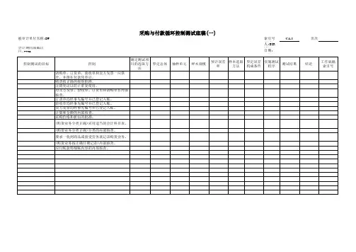采购与付款控制测试_模版