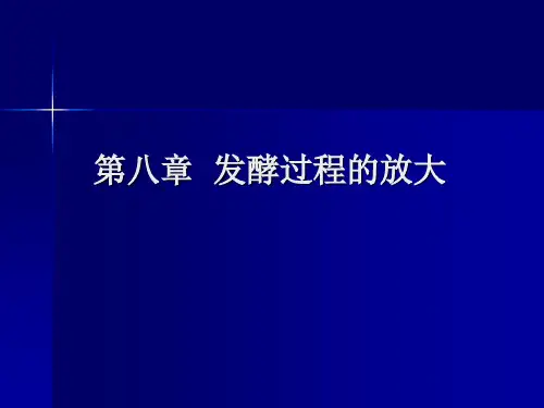 第八章  发酵过程的放大