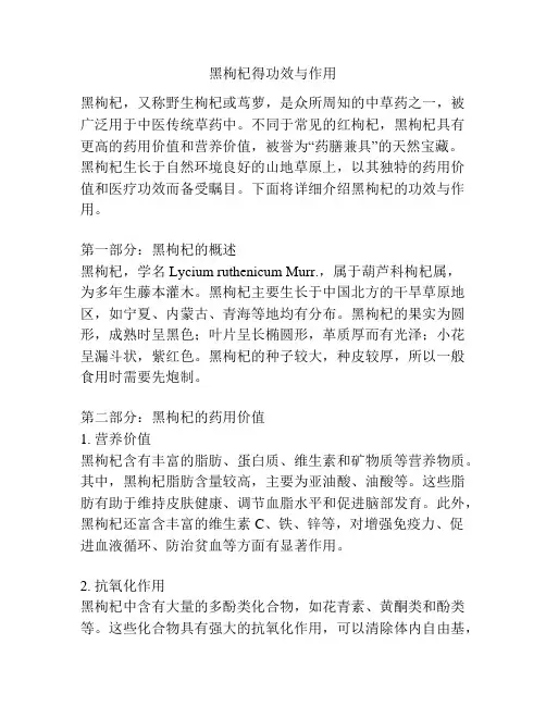 黑枸杞得功效与作用