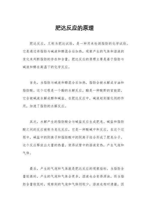 肥达反应的原理