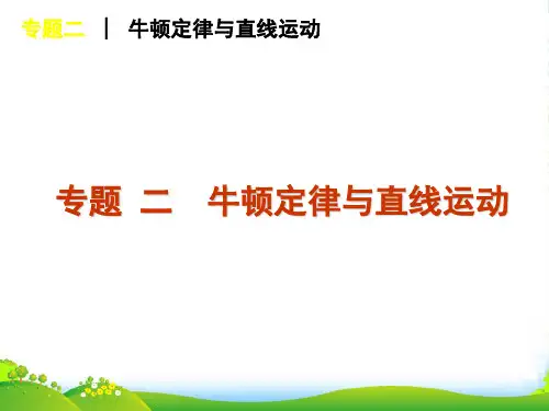 高考物理二轮复习 专题二 牛顿定律与直线运动课件