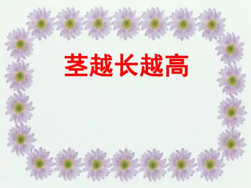 教科版三年级科学下册《 植物的生长变化 茎越长越高》公开课课件_13