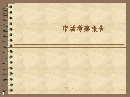 《市场考察报告》PPT课件