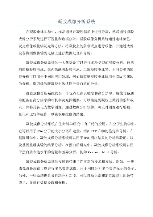 凝胶成像分析系统