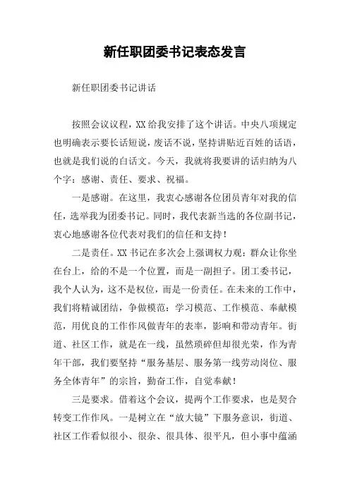 新任职团委书记表态发言