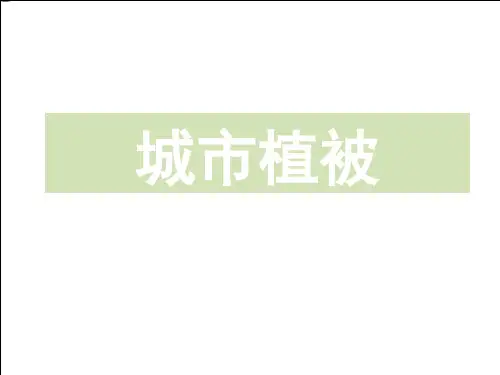 城市植被