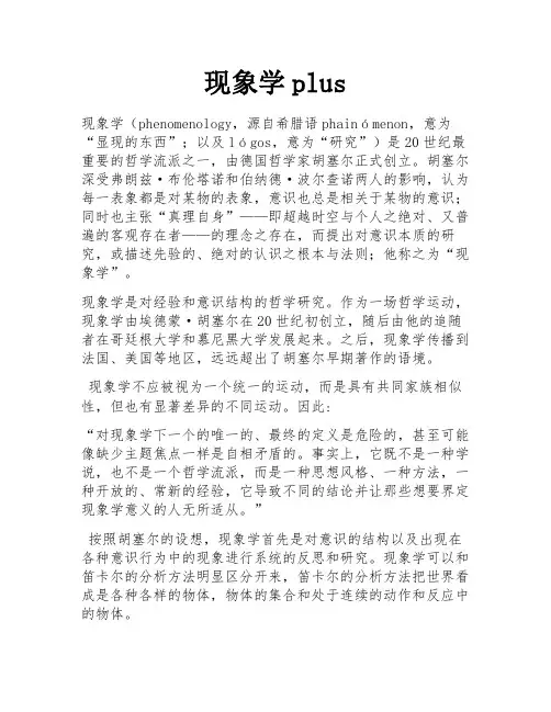 现象学plus