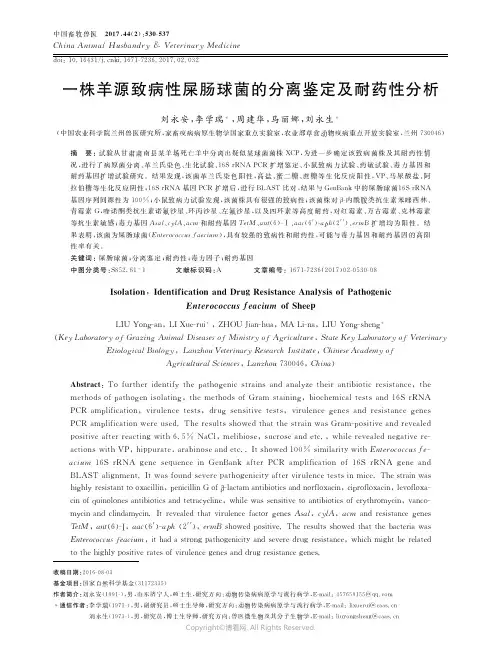一株羊源致病性屎肠球菌的分离鉴定及耐药性分析