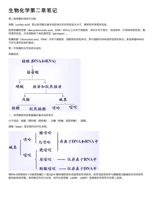 生物化学第二章笔记