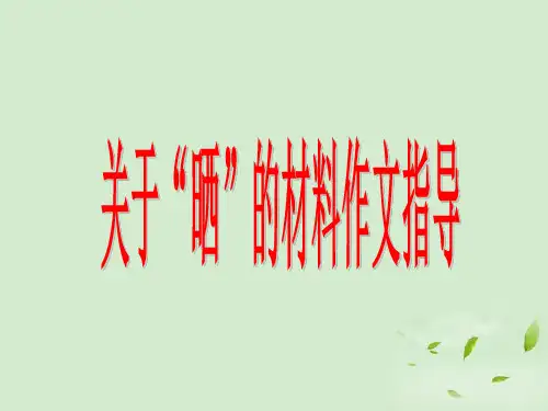 高三语文关于“晒”的材料作文指导课件