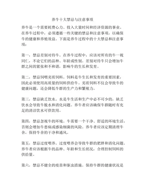 养牛十大禁忌与注意事项
