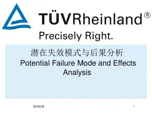 潜在失效模式与后果分析模板.pptx