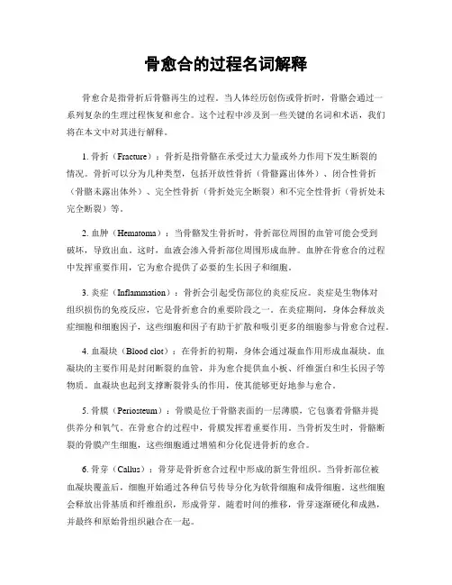 骨愈合的过程名词解释