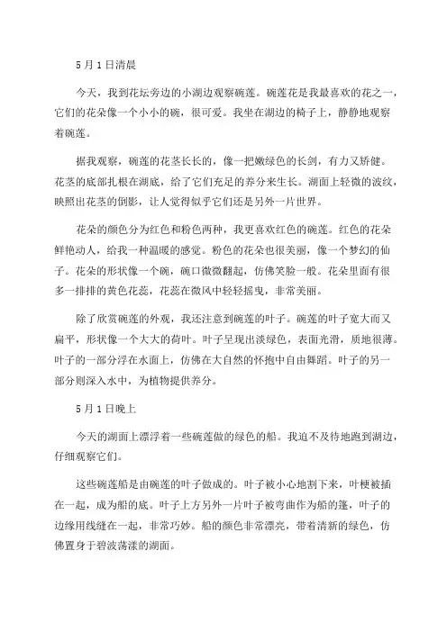 四年级碗莲的观察日记