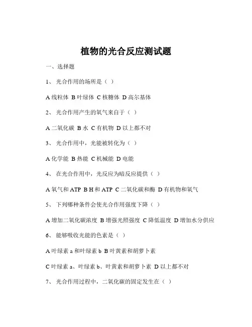 植物的光合反应测试题