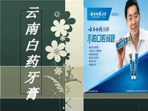 云南白药牙膏报告书-文档资料