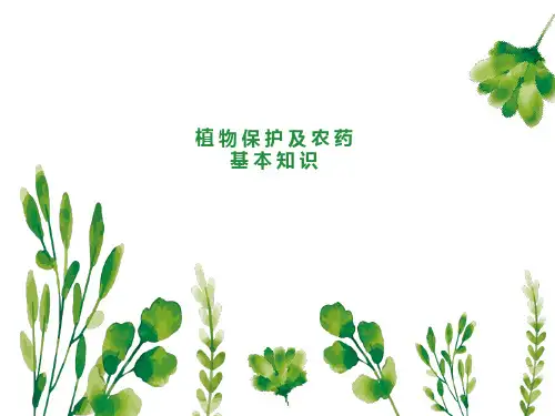 植物保护及基本知识