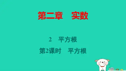 陕西省八年级数学上册第2章实数2平方根第2课时平方根pptx课件新版北师大版