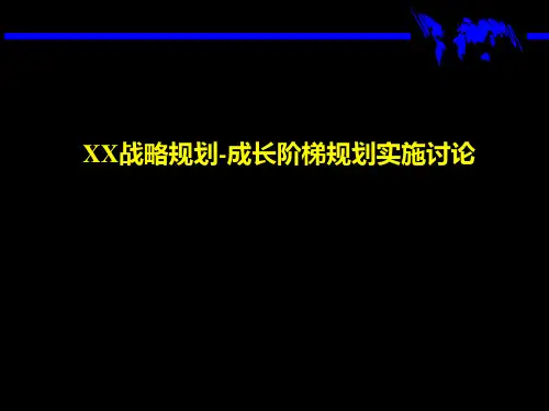 成长阶段的战略规划.pptx