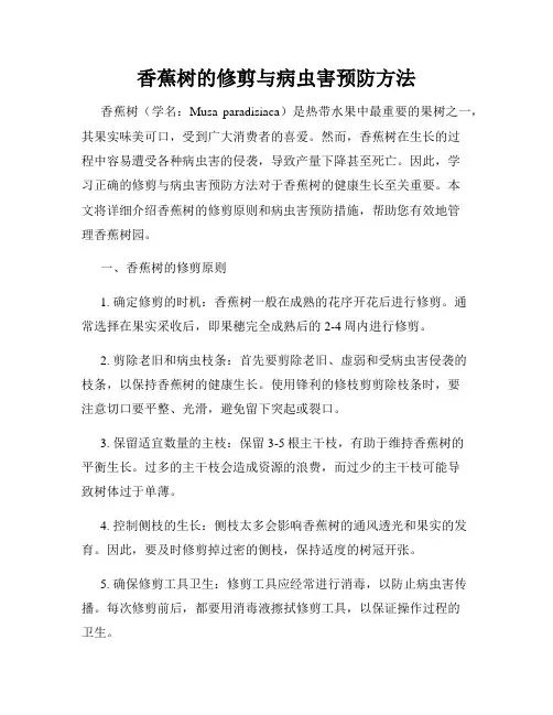 香蕉树的修剪与病虫害预防方法
