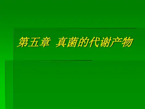 第五章  真菌的代谢产物